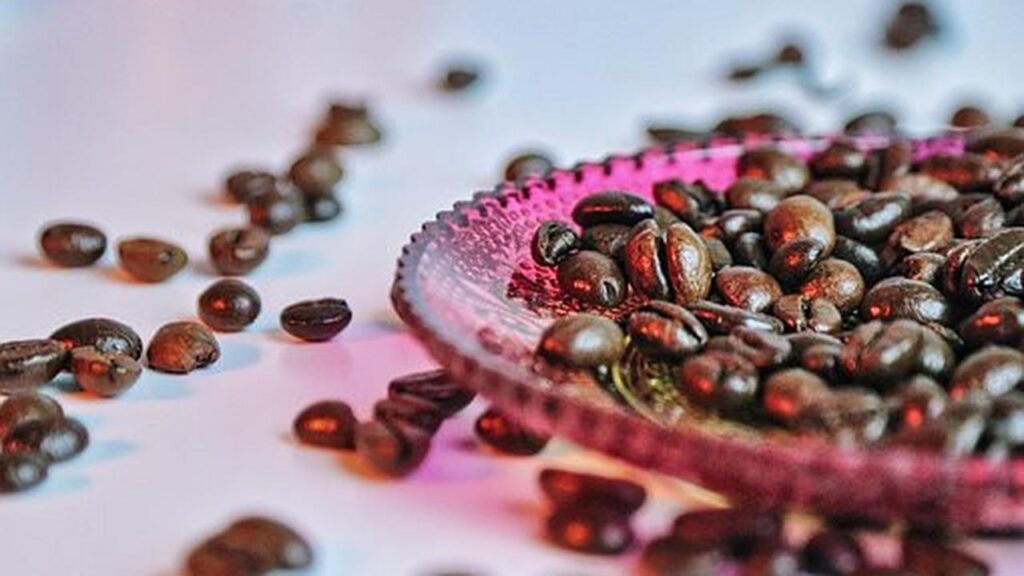 Harga Kopi Indonesia Melonjak 15% Ternyata Ini Dampak Serius Perubahan Iklim