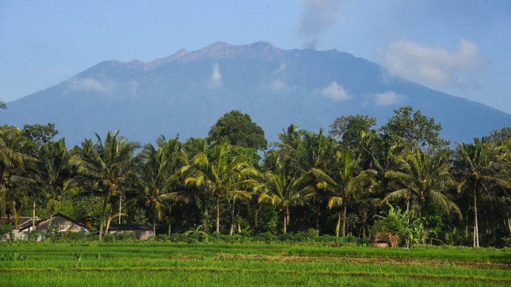 Kopi Langka Gunung Raung! Varietas Eksotis Ini Bikin Penikmat Kopi Tercengang