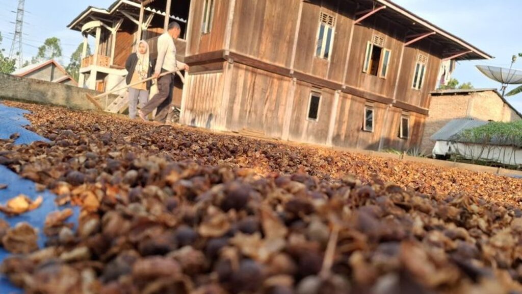 Ekosistem Kopi Nasional Disatukan! PaPIKI Tancap Gas Majukan Dunia Usaha dari Hulu Sampai Hilir!