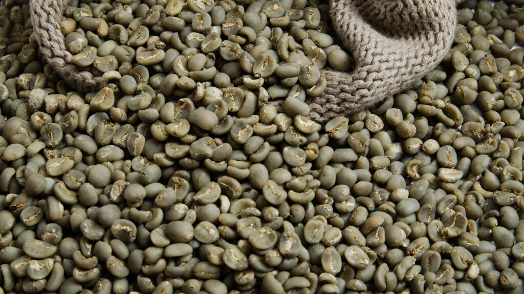Perbedaan Mendasar Rasa Kopi Gayo Wine Process vs Natural