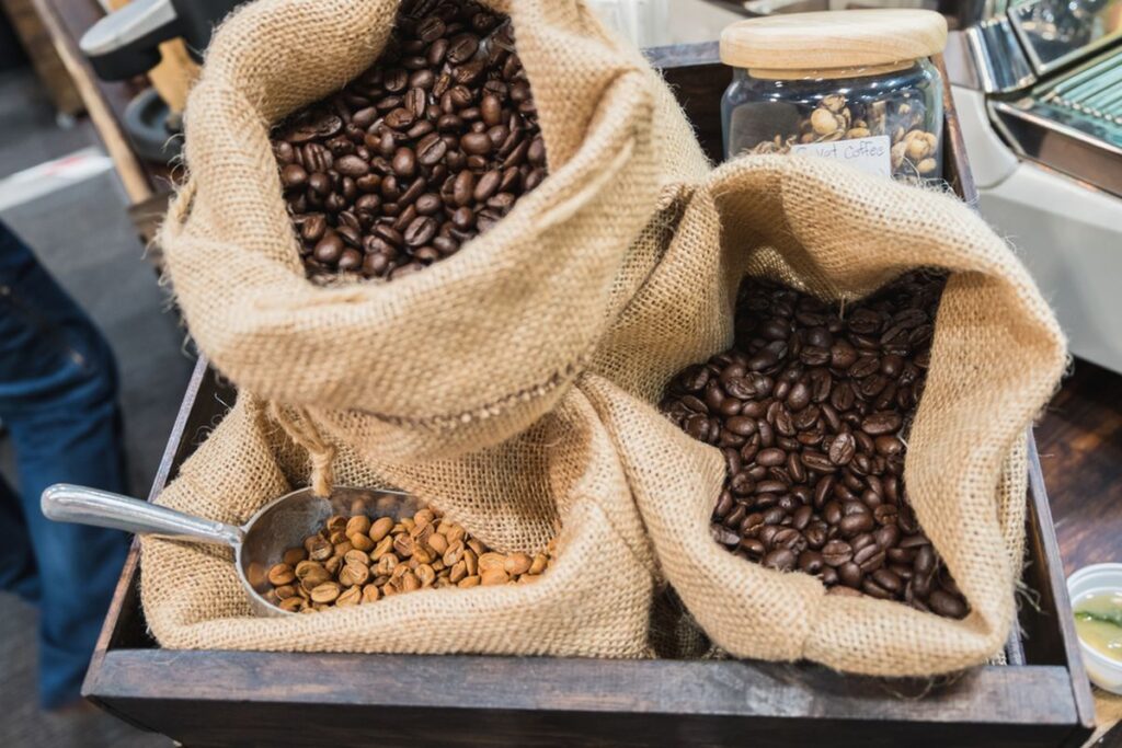 Rahasia Kopi Black Ivory Terungkap, Ternyata Perut Gajah Asia Jadi Kunci Rasa Lembutnya