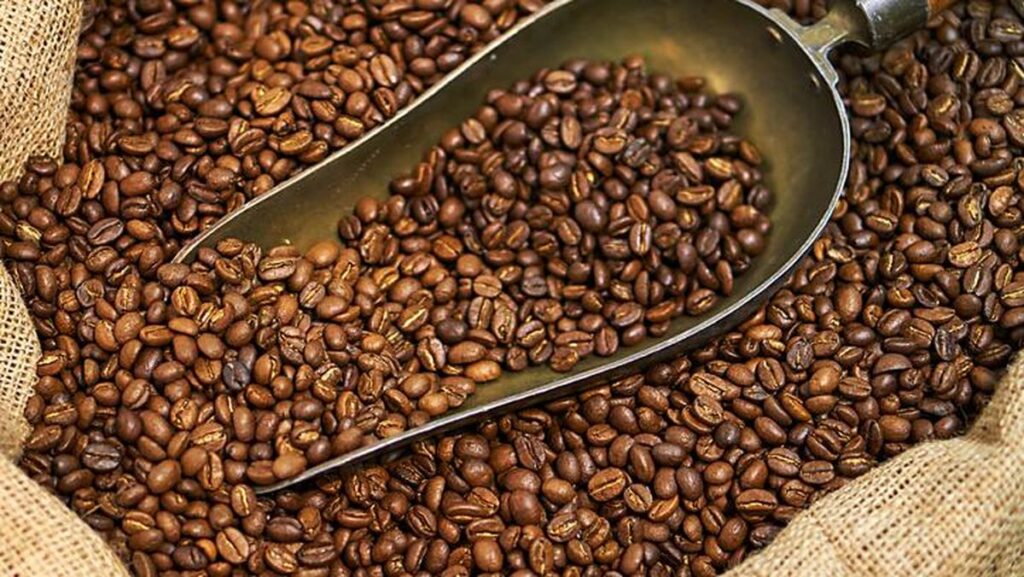 Krisis Mengintai! Petaka Baru Tekan Negara Penghasil Kopi, Harga Siap Melejit?