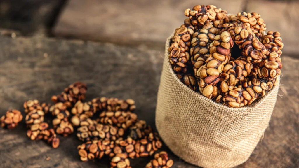 Kopi luwak Indonesia
