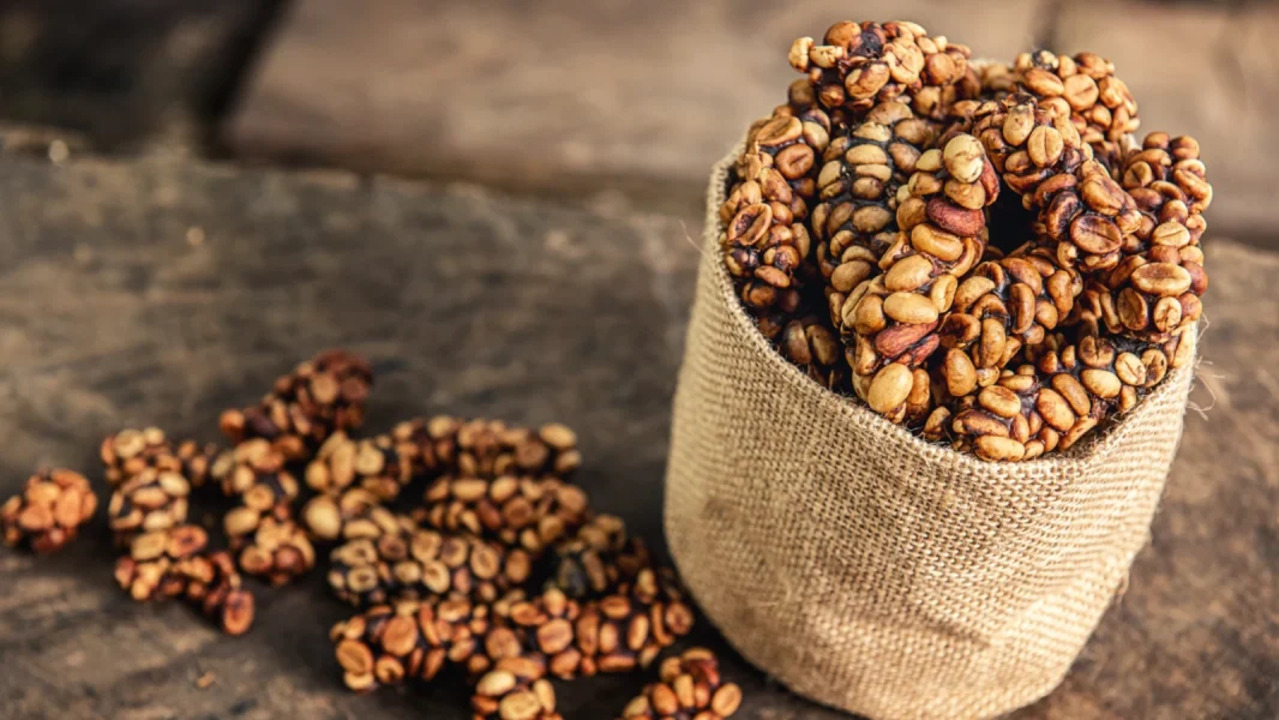 Kopi luwak Indonesia