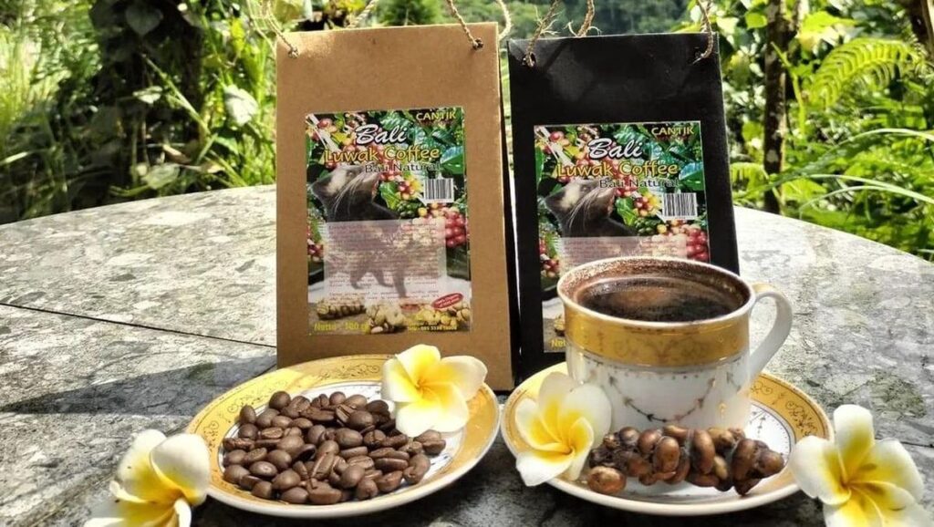 Kopi Luwak Indonesia Mendunia! Ini Cara Menjaga Autentisitas dan Keamanannya di Pasar Global