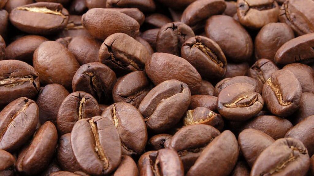 Kopi Sidikalang, Rahasia Sumatera yang Diam-Diam Diakui Dunia