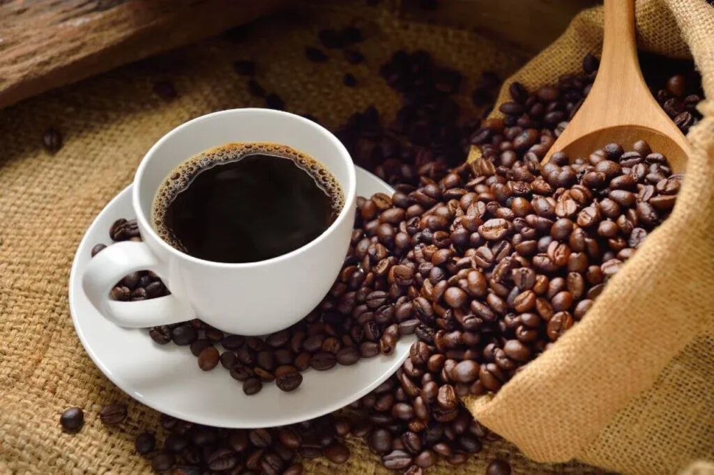 Kopi Sidikalang, Rahasia Sumatera yang Diam-Diam Diakui Dunia