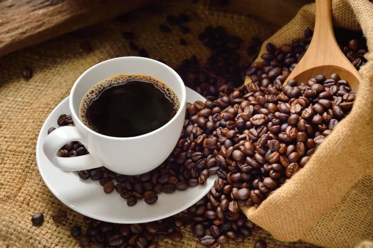 Kopi Sidikalang, Rahasia Sumatera yang Diam-Diam Diakui Dunia