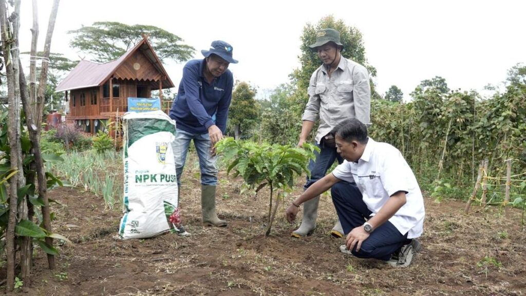 Dari Gunung Dempo, Kopi Tebat Benawa Bangkitkan Harapan Petani