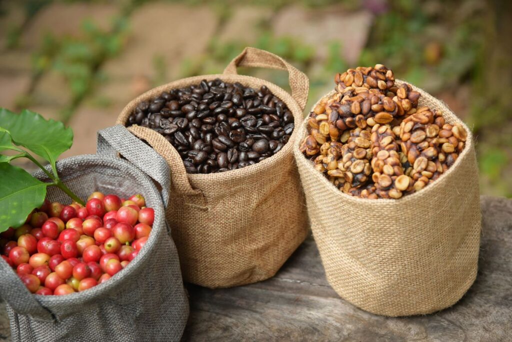 Produksi Kopi Arabika Anjlok 30 Persen, Harga Bakal Naik Tajam?