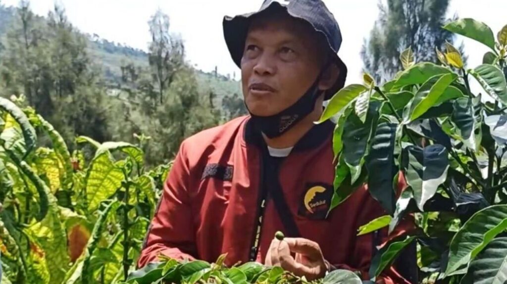 Produksi Kopi Arabika Anjlok 30 Persen, Harga Bakal Naik Tajam?