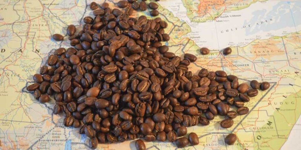 Rahasia di Balik Popularitas Kopi Jamaika Blue Mountain, Ada Jejak Bob Marley