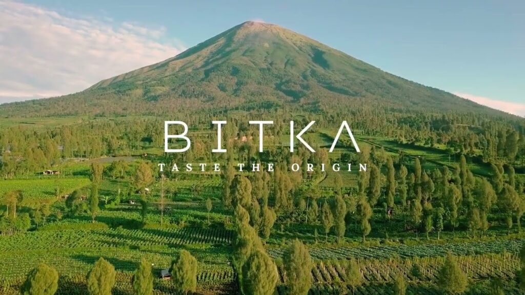 Rahasia di Balik Popularitas Kopi Jamaika Blue Mountain, Ada Jejak Bob Marley